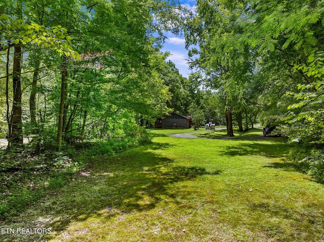 3018 Rivers Edge Dr, Cosby, TN 37722 - view of green lawn