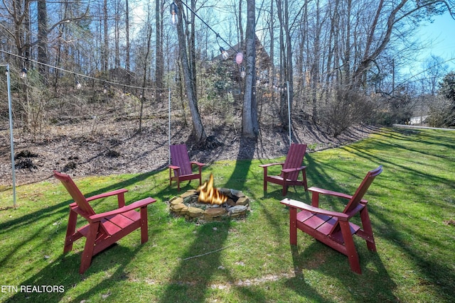 view of yard with an outdoor fire pit