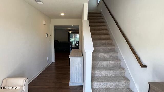 stairway with hardwood / wood-style flooring