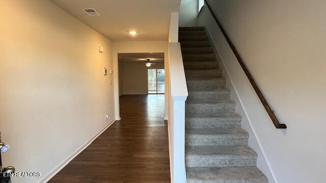 staircase featuring wood-type flooring and ceiling fan