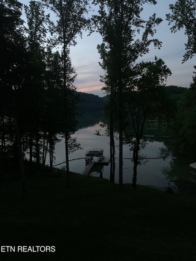 property view of water with a boat dock