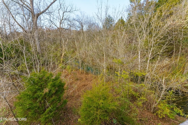 2557 Creekwood Park Blvd, Lenoir City, TN 37772 - photo 20