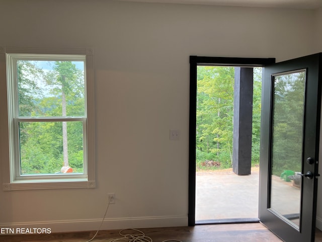 doorway with hardwood / wood-style floors and plenty of natural light