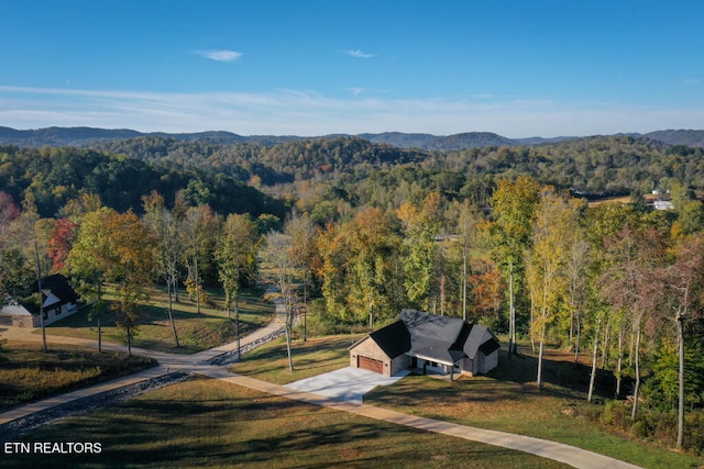 birds eye view of property featuring a mountain view