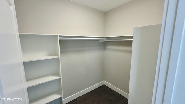 spacious closet featuring dark wood-style flooring