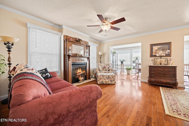 living room with hardwood / wood-style floors, a textured ceiling, and ornamental molding