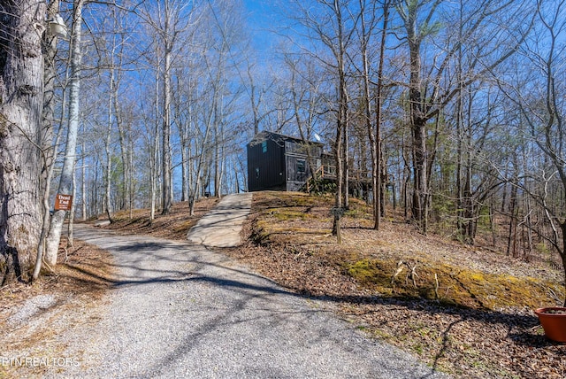 view of road with gravel driveway