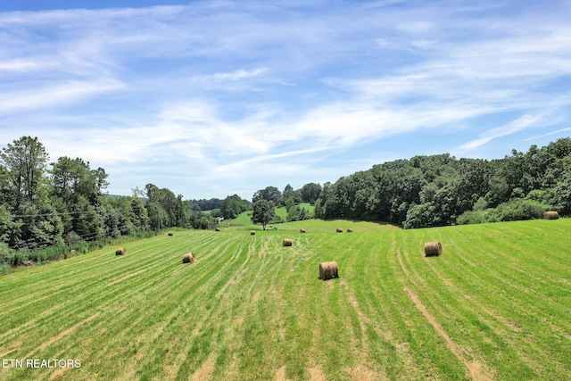 view of yard with a rural view