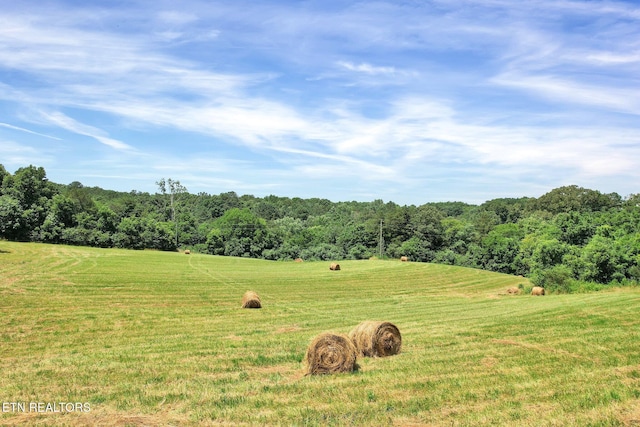 view of landscape featuring a rural view