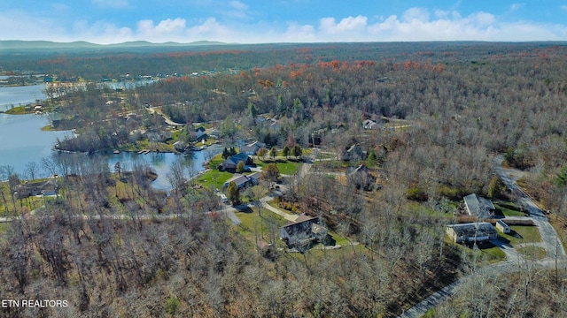 drone / aerial view with a water and mountain view