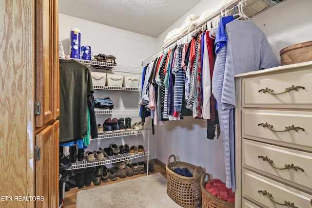 walk in closet featuring wood-type flooring