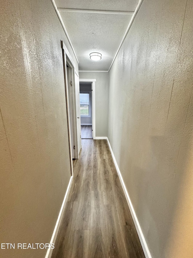 hallway featuring wood-type flooring and ornamental molding