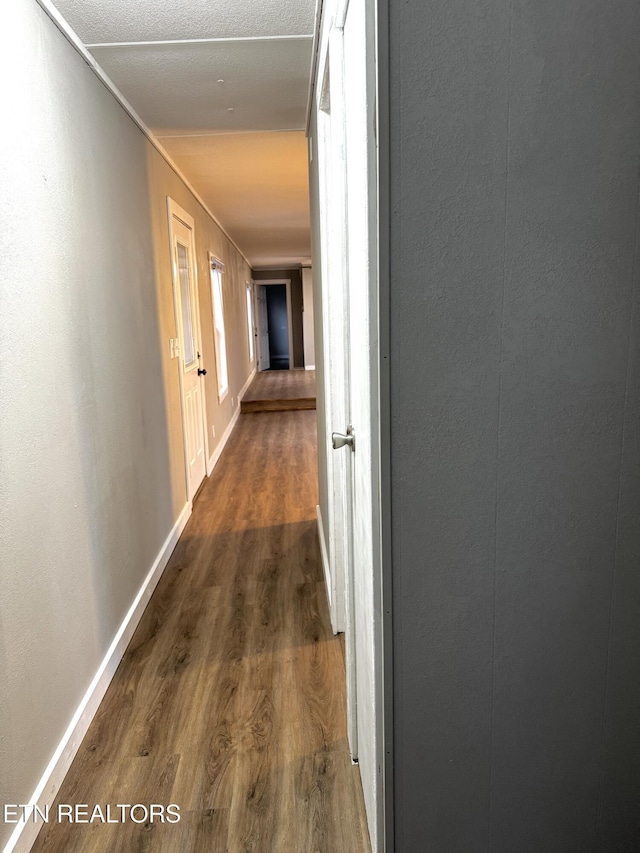 corridor with dark hardwood / wood-style floors