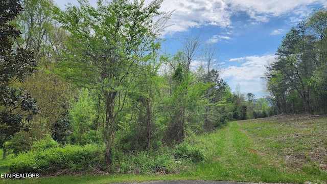 English Fields Dr, Newport TN, 37821 land for sale