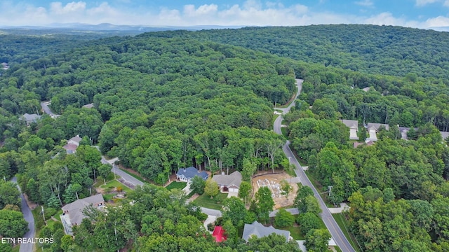 12 Chelteham Ln, Crossville, TN 38558 - photo 10