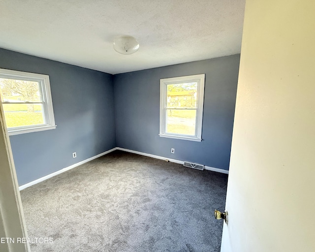 spare room featuring a textured ceiling, carpet floors, and plenty of natural light