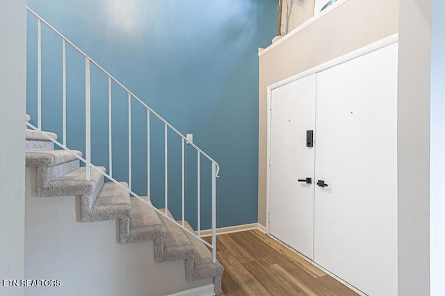 foyer entrance featuring wood-type flooring