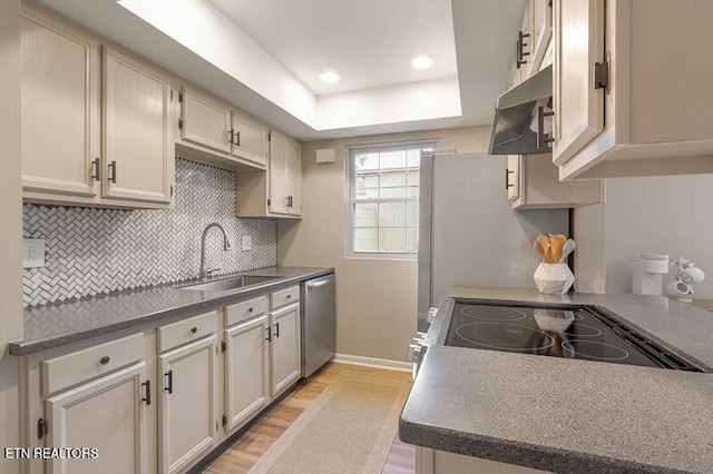 kitchen with stove, a raised ceiling, sink, light hardwood / wood-style flooring, and stainless steel dishwasher