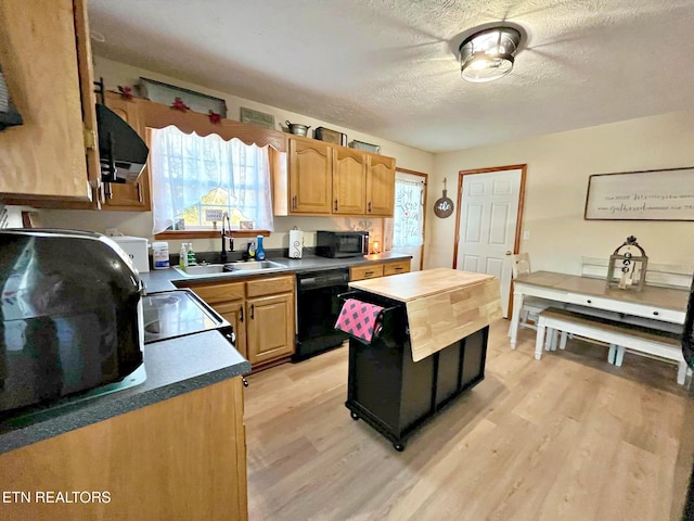 kitchen with a wealth of natural light, sink, black appliances, and light hardwood / wood-style floors