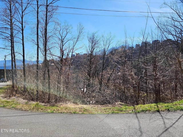 Listing photo 3 for Pinecrest Dr, Gatlinburg TN 37738