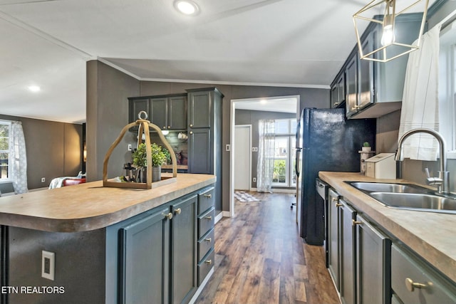 kitchen with dark hardwood / wood-style flooring, lofted ceiling, sink, and a wealth of natural light