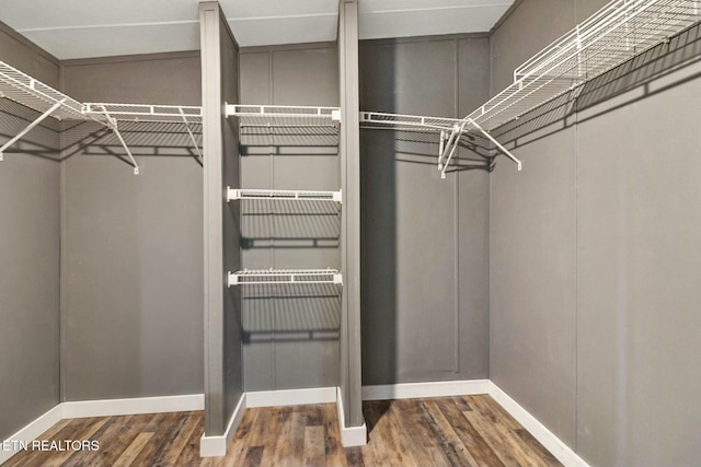 walk in closet featuring dark hardwood / wood-style floors