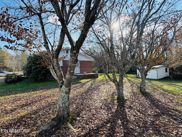 115 Greasy Cove Rd, Cosby, TN 37722 - view of yard with a shed