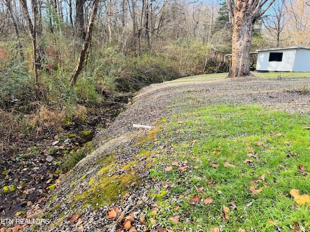 115 Greasy Cove Rd, Cosby, TN 37722 - view of yard with an outdoor structure