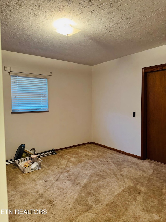 unfurnished room with carpet and a textured ceiling