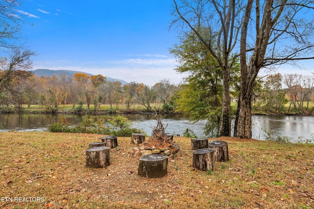 view of yard featuring a water and mountain view