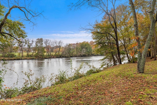 property view of water