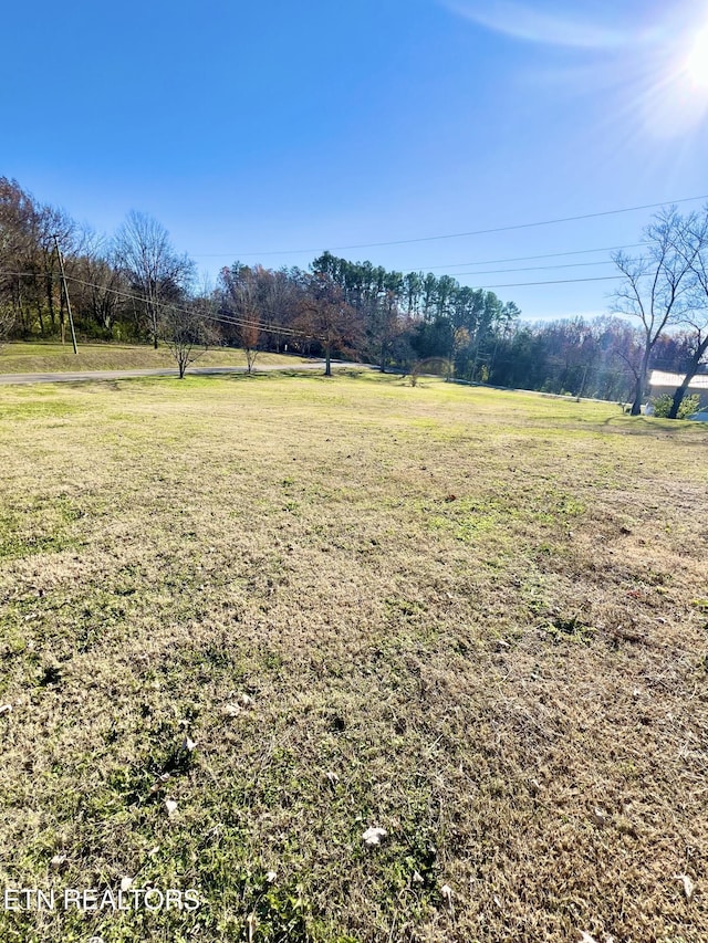 view of yard featuring a rural view