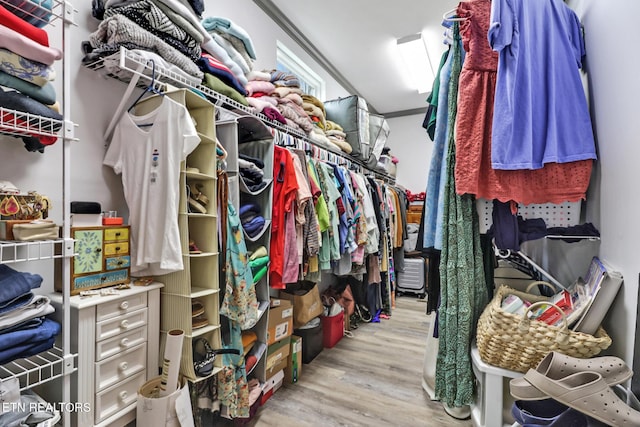 walk in closet featuring light hardwood / wood-style floors