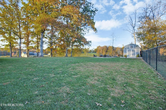 view of yard with a storage shed