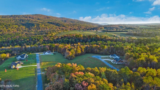 aerial view featuring a mountain view