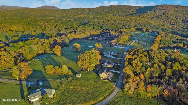 aerial view with a mountain view and a rural view