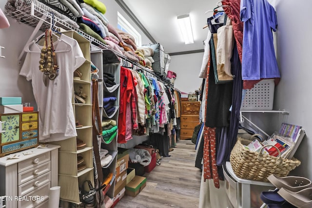 walk in closet with light hardwood / wood-style flooring