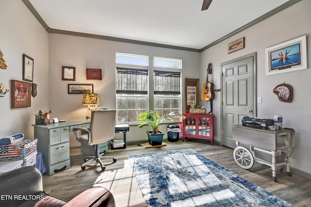 interior space with wood-type flooring and crown molding