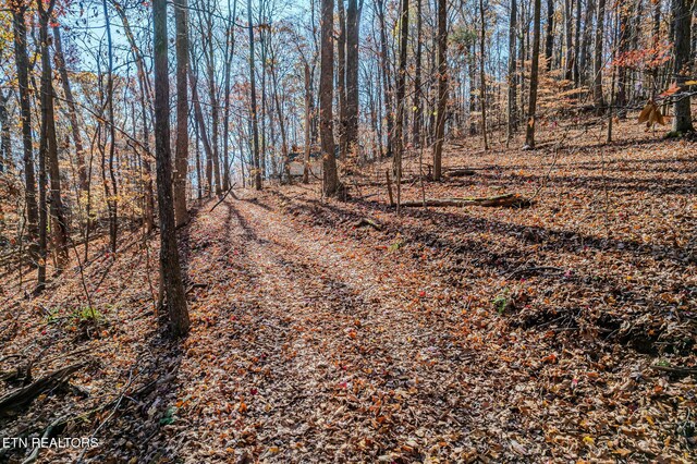 259 Moss Rd, Delano, TN 37325 - photo 30