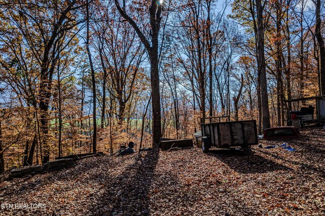 259 Moss Rd, Delano, TN 37325 - photo 31