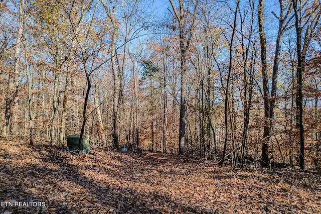 view of local wilderness