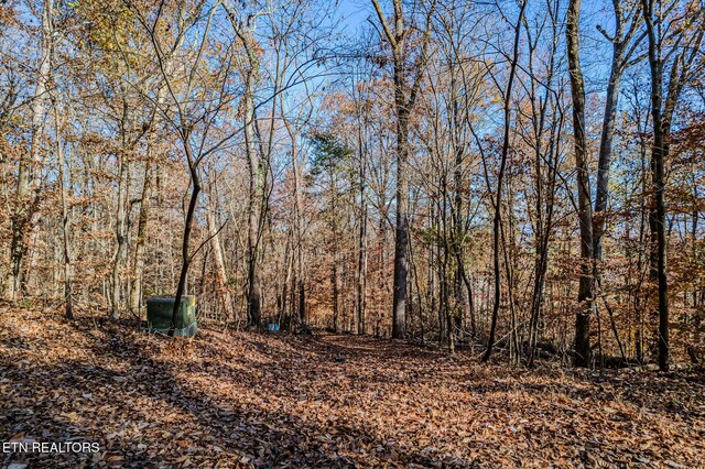 259 Moss Rd, Delano, TN 37325 - photo 32