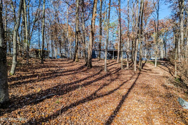 259 Moss Rd, Delano, TN 37325 - photo 28