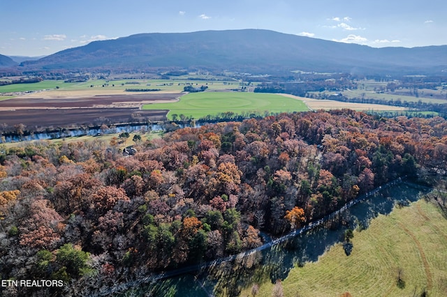 view of mountain feature