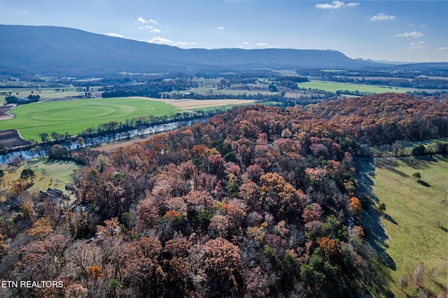 birds eye view of property featuring a mountain view