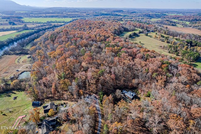 259 Moss Rd, Delano, TN 37325 - photo 38