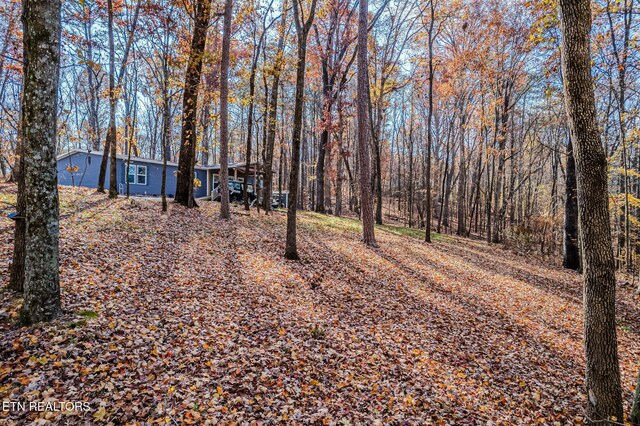 259 Moss Rd, Delano, TN 37325 - photo 27