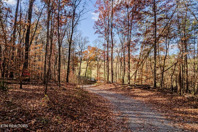 259 Moss Rd, Delano, TN 37325 - photo 40