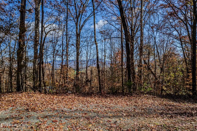259 Moss Rd, Delano, TN 37325 - photo 41