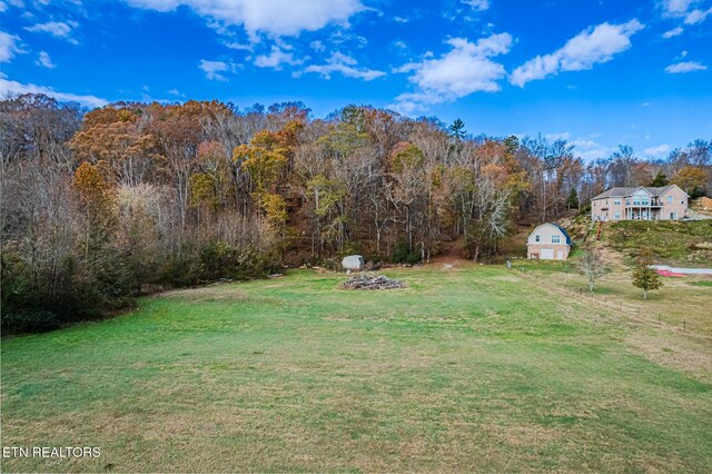 259 Moss Rd, Delano, TN 37325 - photo 53